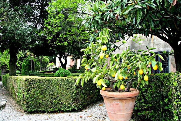 Villa Pecchioli0