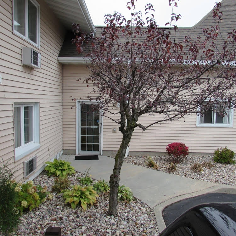 Magnuson Grand Pioneer Inn and Suites0