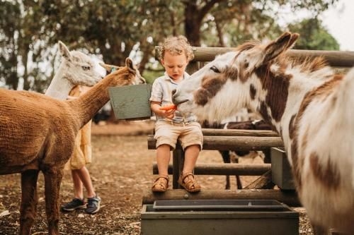 Margaret River Holiday Cottages4