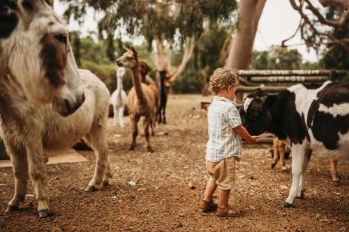 Margaret River Holiday Cottages2
