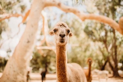 Margaret River Holiday Cottages3