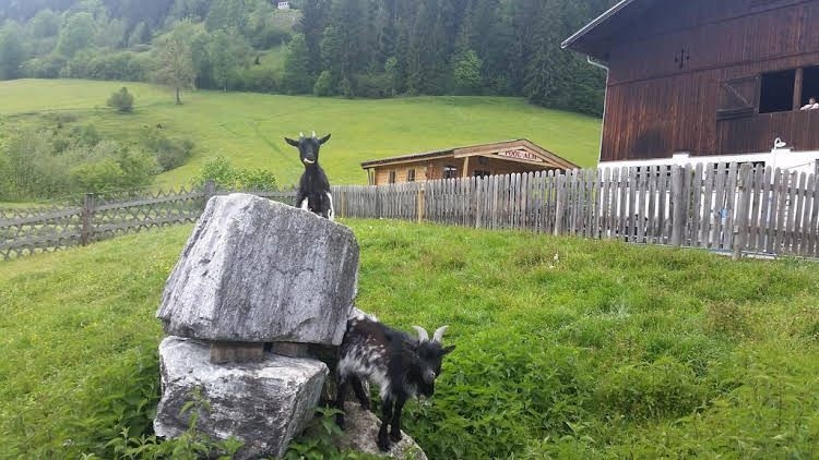 Land Hinteraigengut0