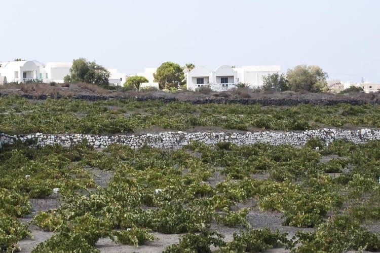 Blue Senses Villas0