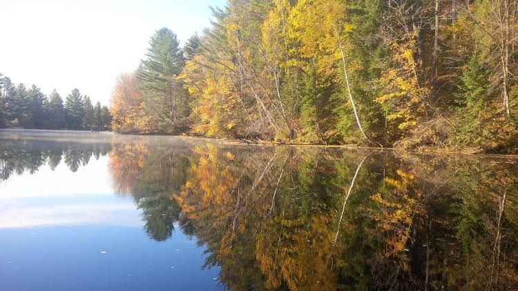 Muskoka Guest Nest0