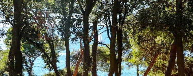 Verudela Beach Resort Pula0