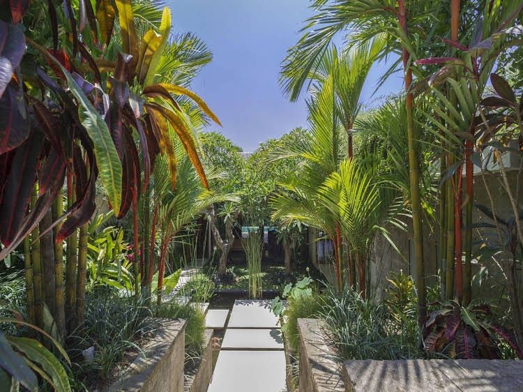 Villa Kavaya0