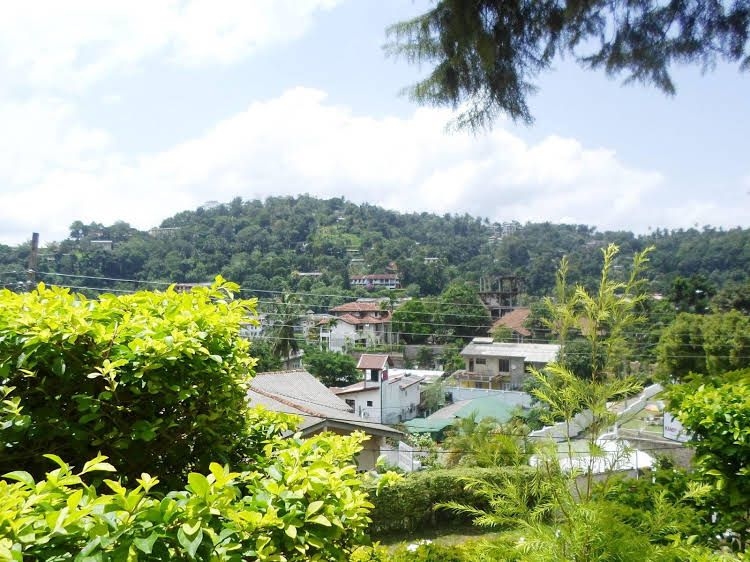 Kandy Greenview Boutique0