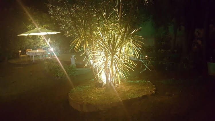 Garden Suite0