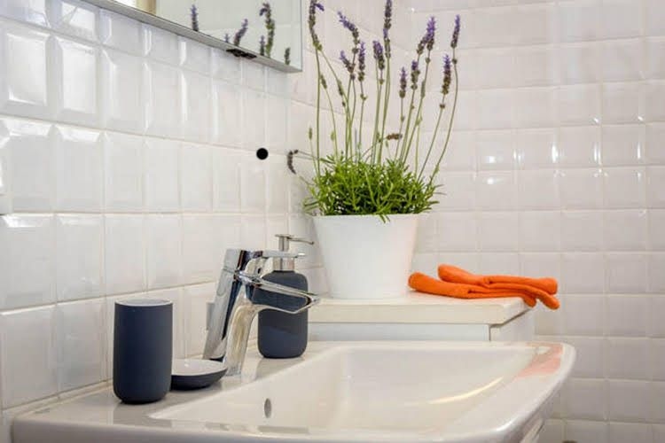 Piccapietra Apartment0