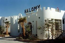 Halomy0