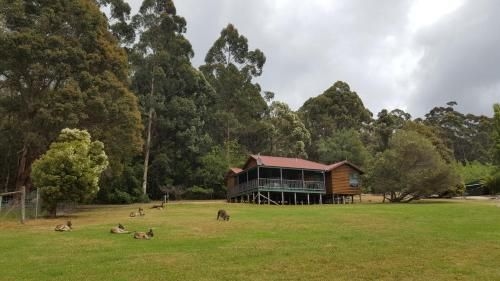 Walpole Wilderness Resort0