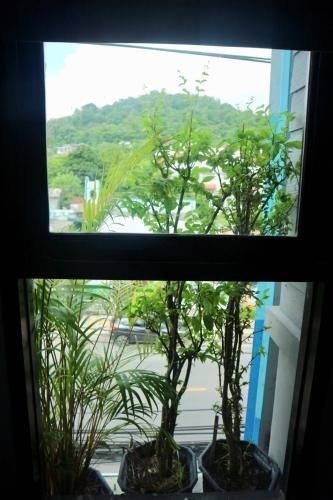 Pakta Phuket2