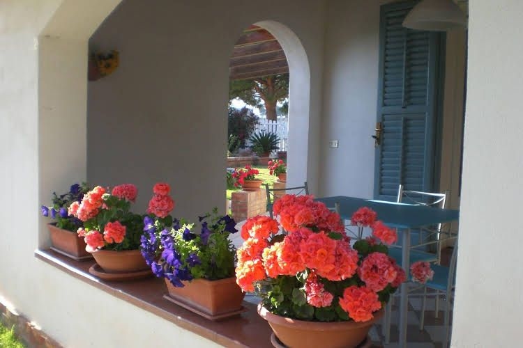Solaris Appartamenti Vacanze0