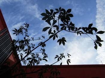 Casona Oaxaca0