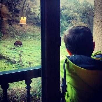 Restaurante Ribera del Chicu0