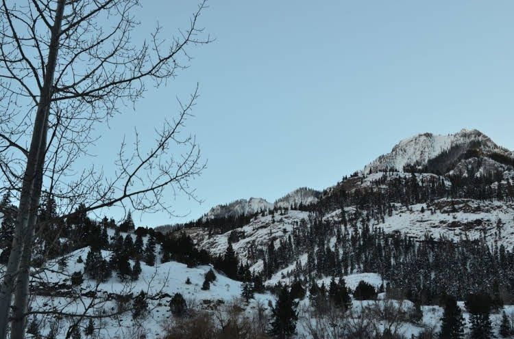 Ouray Main Street Inn0
