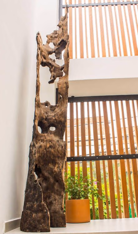 Laureles Loft0
