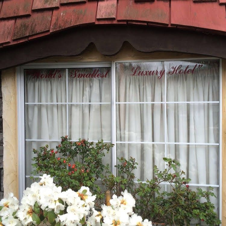 Little Inn on Willow0
