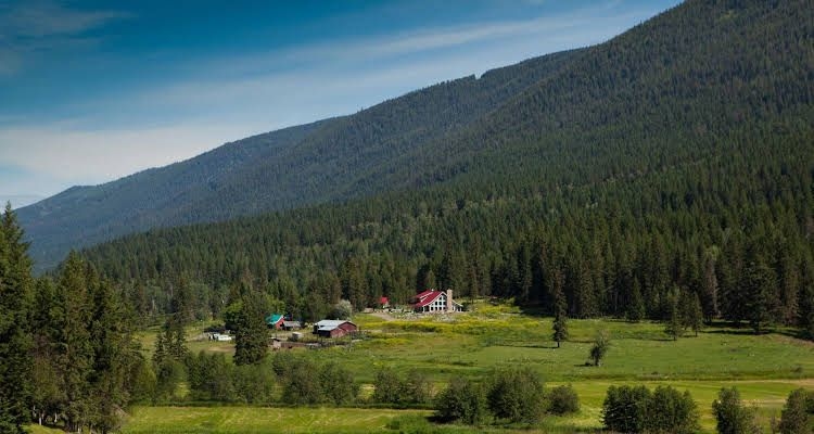 Tod Mountain Guest Cabins0