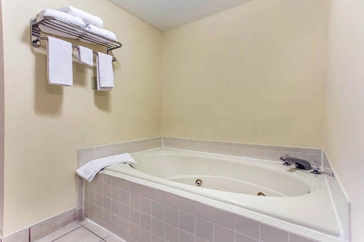 Econo Lodge Inn and Suites in Griffin0