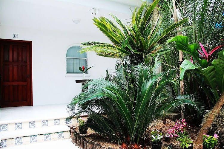 Tropical Casablanca Party0