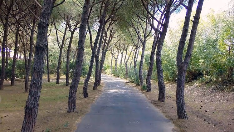 Corte dei Butteri0