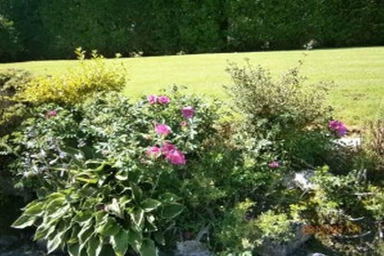 Gowlaun0