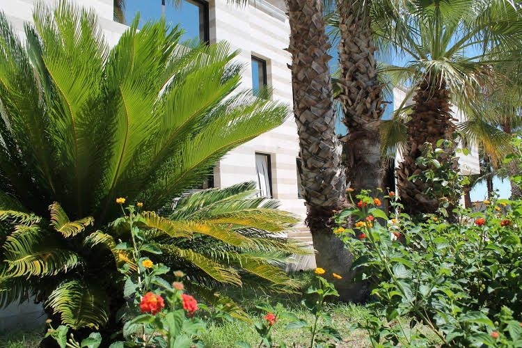 Villa Pinto3