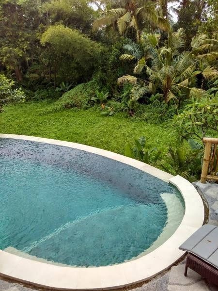 Lotus Villa Ubud0