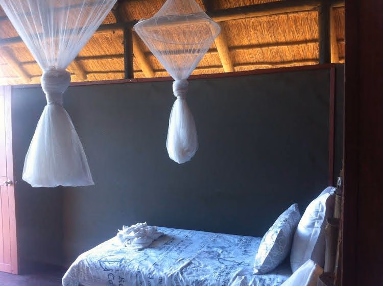 Lion Roars Lodge0