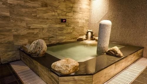 ดอร์มี อินน์ โซล คังนัม (Dormy Inn SEOUL Gangnam)4