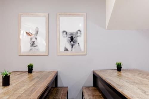 Mad Monkey Backpackers on Broadway0