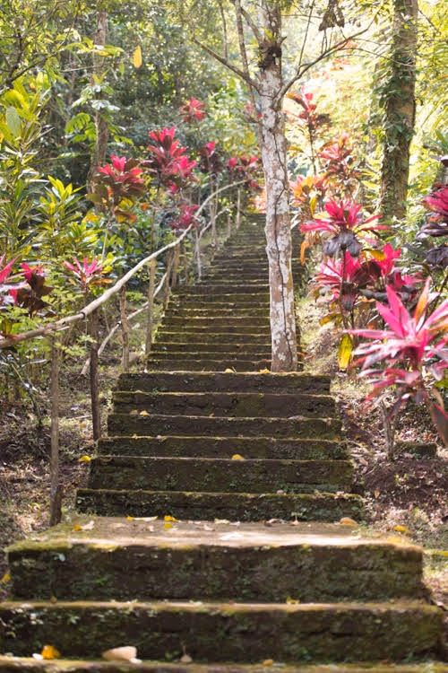 Bali Lush0