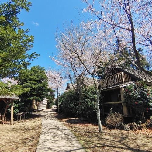 Log Park Hotel (Log Park)2