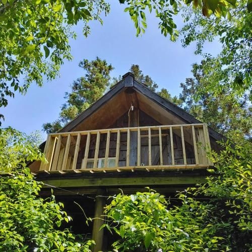 Log Park Hotel (Log Park)1
