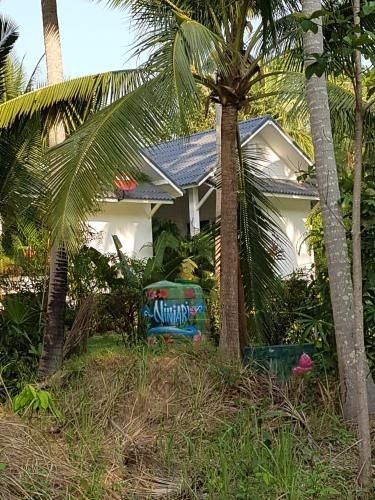 Niniari House1