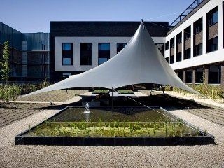 Carbon Hotel3