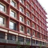 FENIX GUADALAJARA0