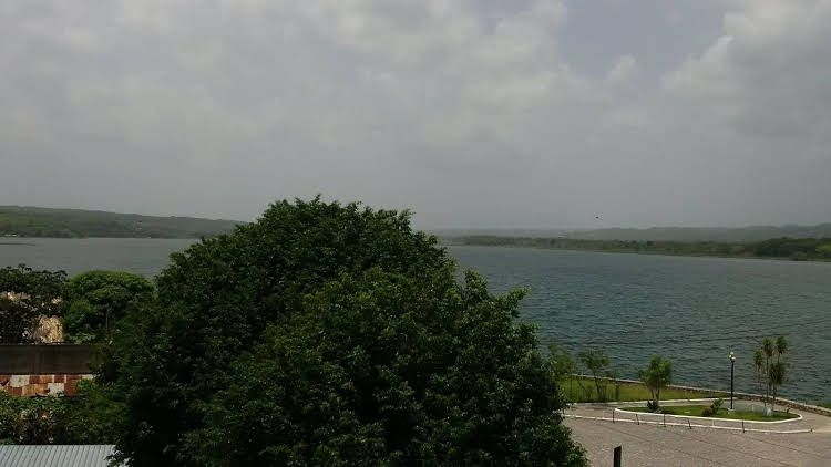 Flores de Peten0