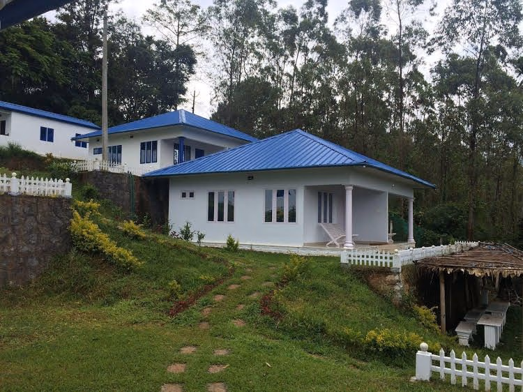 Lilies@Munnar3