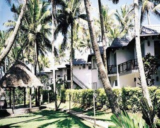 Fiji Palms0