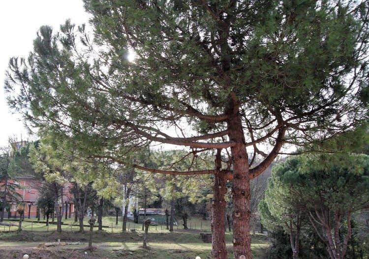 Appartamento al Valico della Foce0