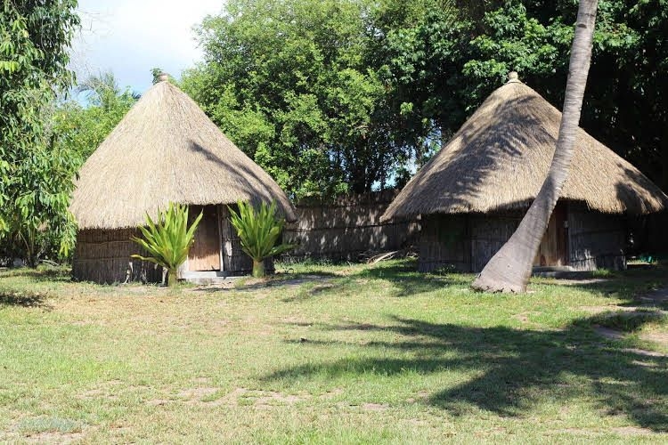 Baobab Beach Lodge and Backpackers0