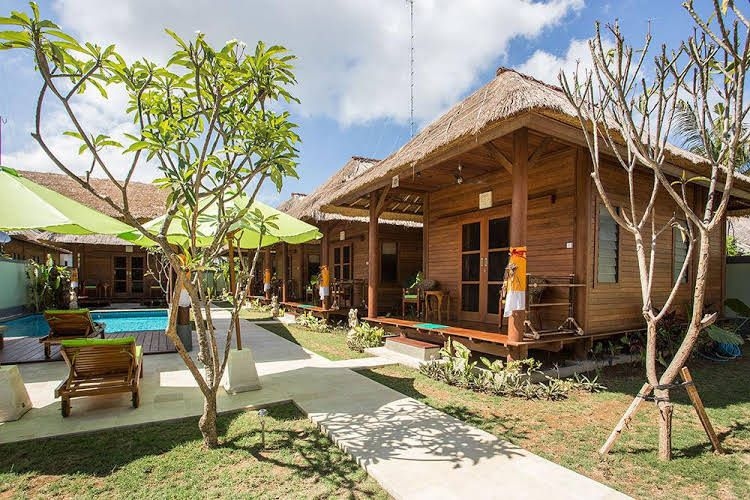 Gecko Bungalows4