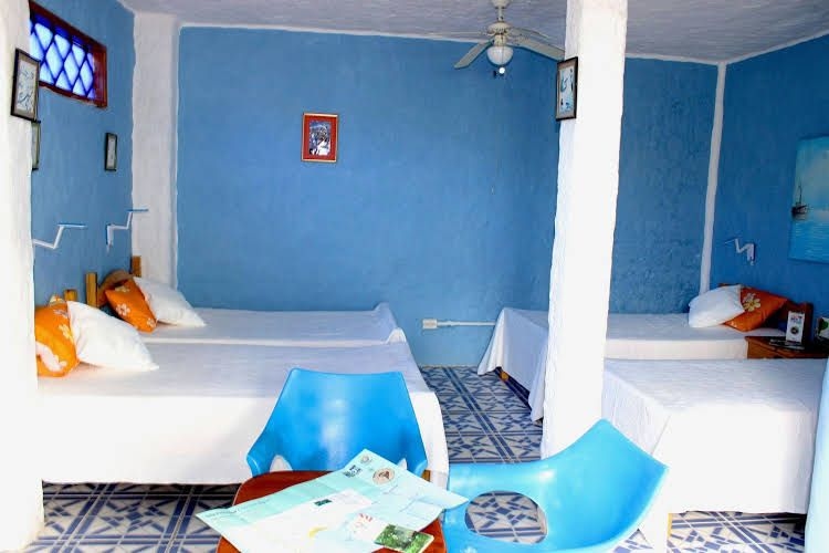 Galapagos Penguin Hostel0