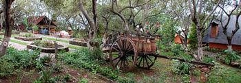 Cabanas La Huerta0