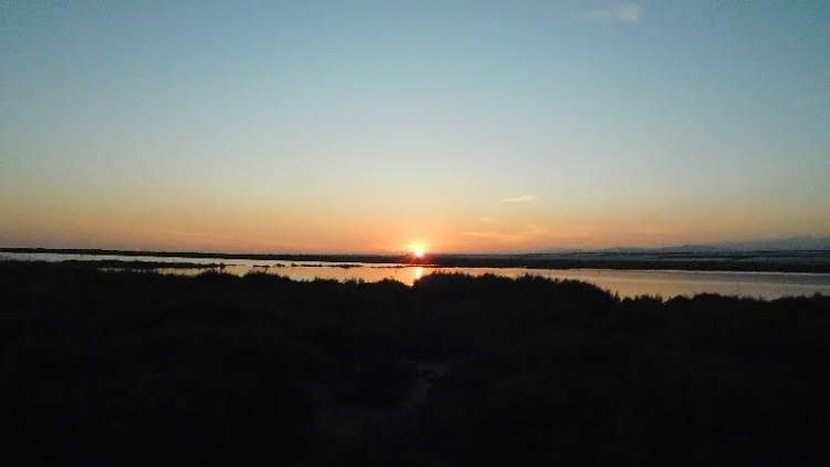 Playamar0