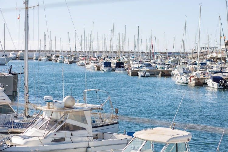Goret Vell1