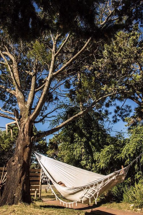 Negrita Hostel0