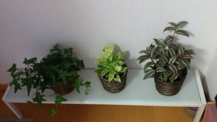 Yokos House - Hostel0